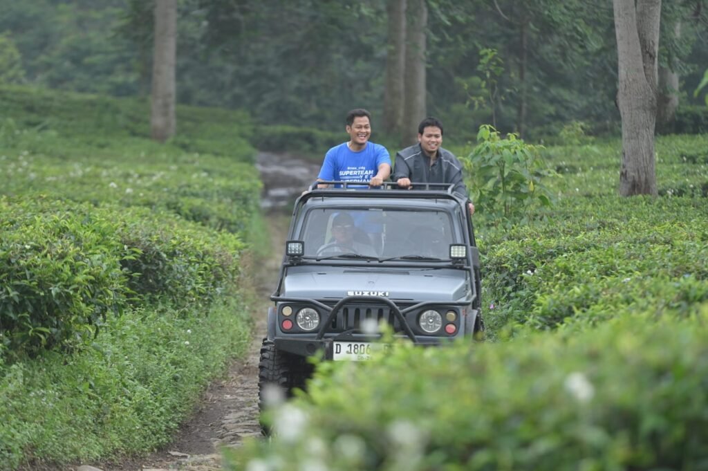 OFFROAD (20)